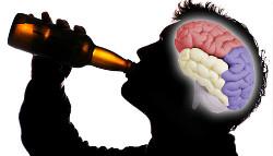 Bier voor de hersenen Bier voor de hersenen