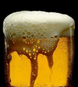 het-nieuwe-biertappen het-nieuwe-biertappen