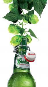 Grolsch groen Grolsch groen