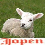 Lammetjesdag