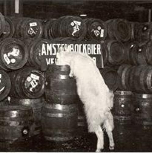 bockbier proeverij mitra