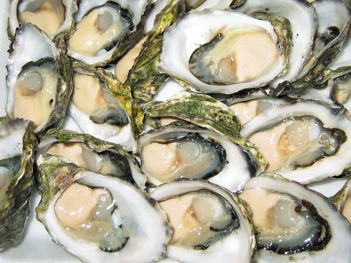 Masterclass Bier en Oesters