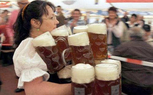 Bierfestival Alberg