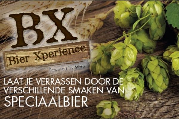 BX Steenwijk
