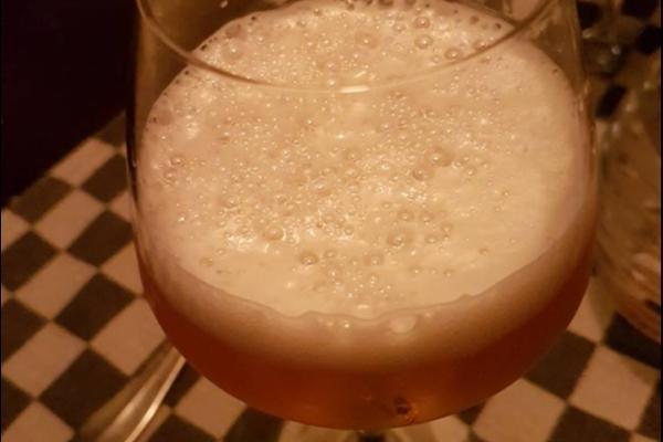 De Proeftocht Leiden culinaire bierwandeling De Proeftocht Leiden culinaire bierwandeling
