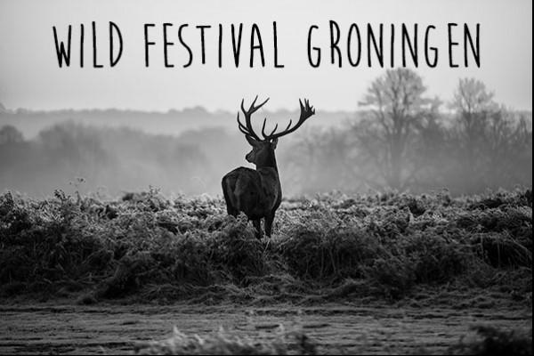 Wild Festival Groningen 2019