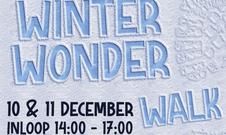 WinterWonderWalk