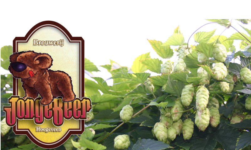 Brouwerij Jonge Beer Open Dag 2023