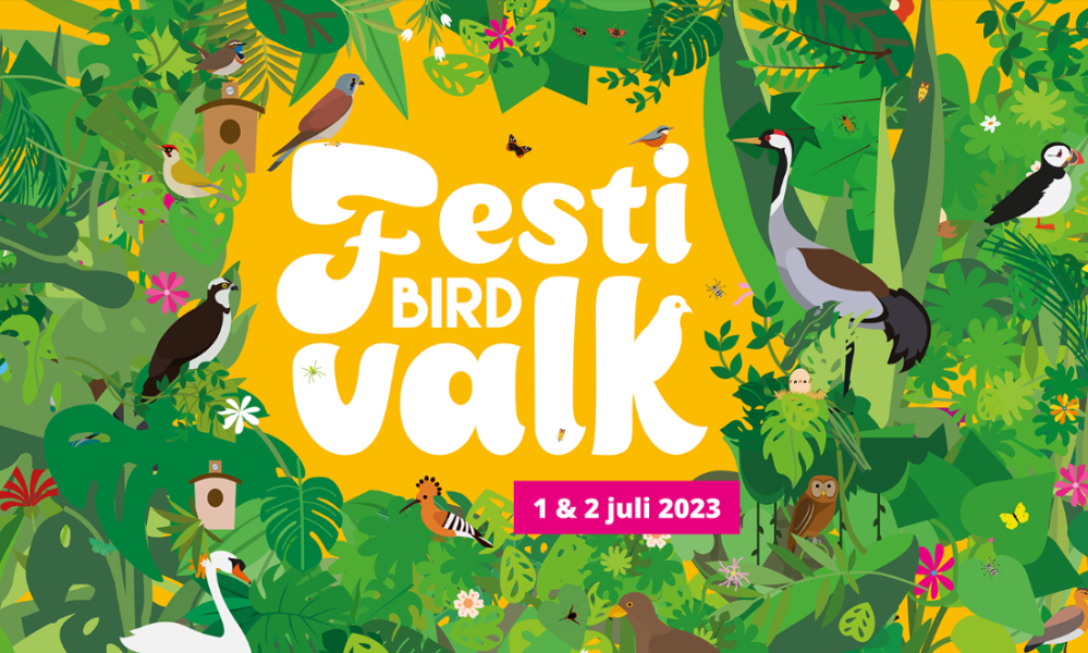 Festivalk 2023 aankondiging