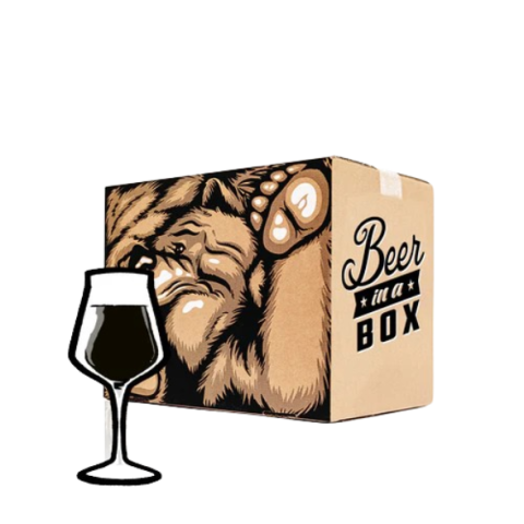 Intens Uitdagend Stout Bierpakket beer in a box