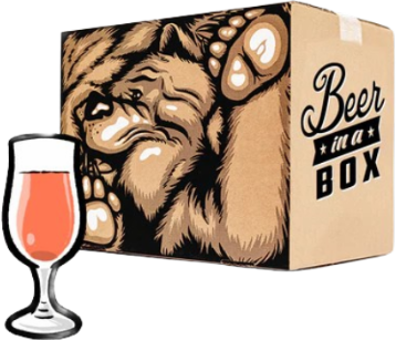 Verfrissend Zuur Bierpakket voor Zomeravonden