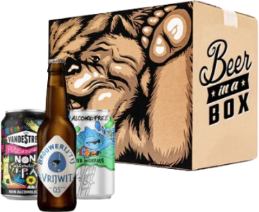 Alcoholarm Verrassingspakket Beer in a Box