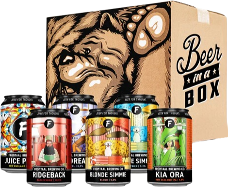 Frontaal Selectie bierpakket (6x33cl) Beerinabox 