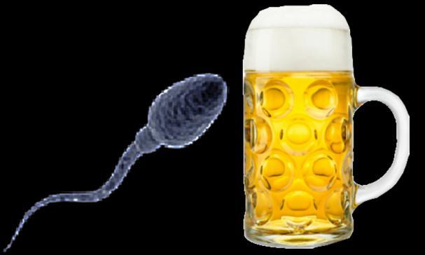 Bier en spermakwaliteit