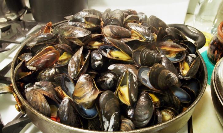 recept mosselen koken met bier recept mosselen koken met bier