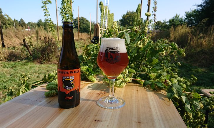 Horster Beer Brouwers Verrekte Vlaegel