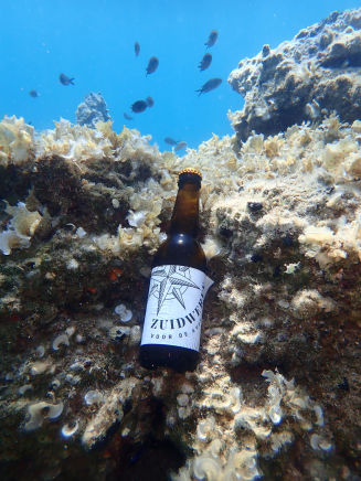 ZuidWerff Bier in het water
