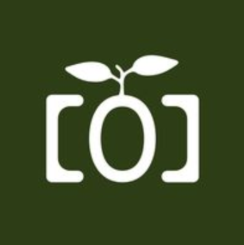 Eco dreamer logo