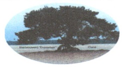 Brouwerij Donselaer