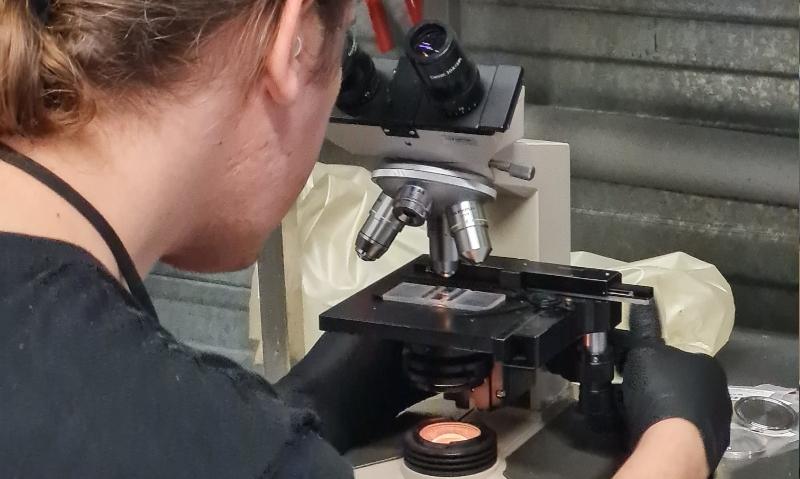 Kegs Brewery Microscoop