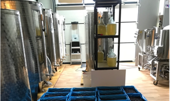 De Noordelijke Mederij