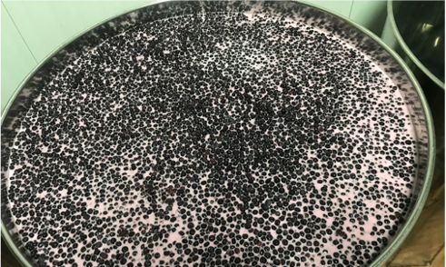 De Noordelijke Mederij