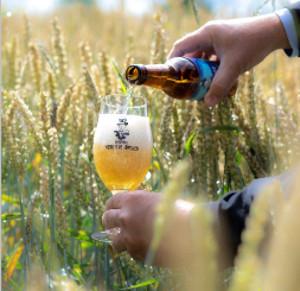 Vrolijcke Joncker bier in veld