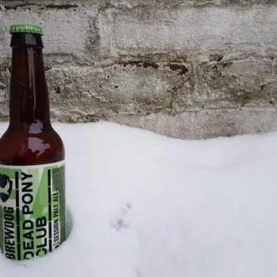 Dead pony club Dead pony club