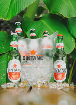 Bintang bier in een koeler Bintang bier in een koeler