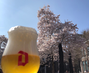 Duvel bier met een boom met bloesem Duvel bier met een boom met bloesem