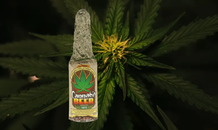 Euphoria Cannabis bier