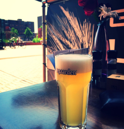 Hoegaarden Wit glas op tafel Hoegaarden Wit glas op tafel