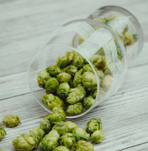 Hopbloemen in een bierglas / Pexels Hopbloemen in een bierglas