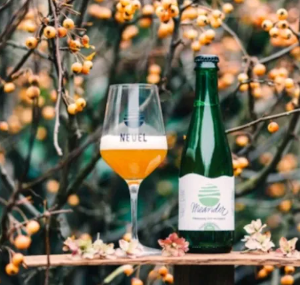 Nevel Meander fles en glas Nevel Meander fles en glas