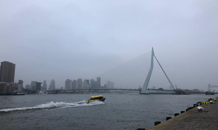 Erasmusbrug Rotterdam met watertaxi Erasmusbrug Rotterdam met watertaxi