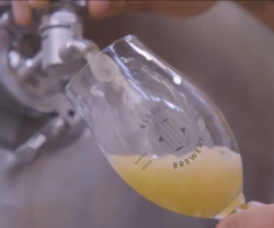 Brouwerij Eleven bierglas wordt volgetapt 