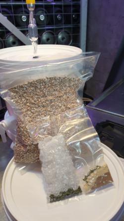 Brouwpakket voor de Vandeoirsprong Tripel