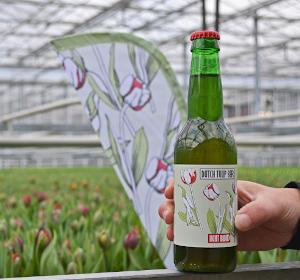 Dutch Tulip Bier in de kas
