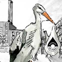 Eerste Haagse Prael bier