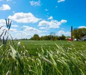 Fries landschap bij de Grutte Pier Brouwboerderij