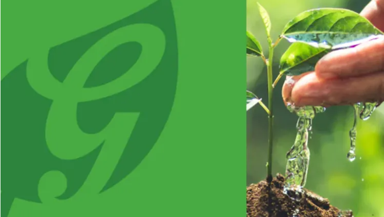 Grolsch duurzaamheid