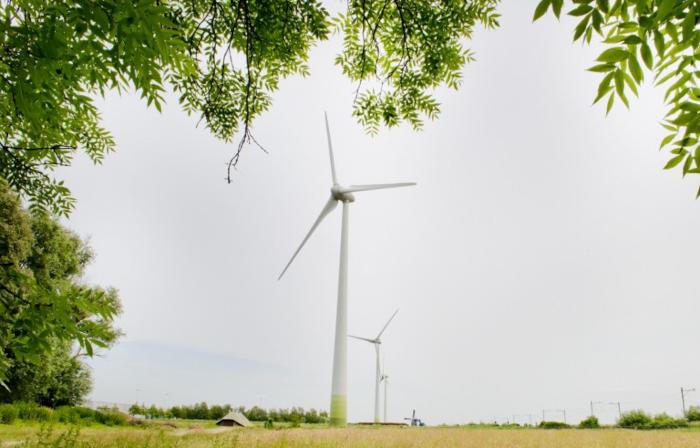 Drie Heineken windmolens in een veld in Nederland