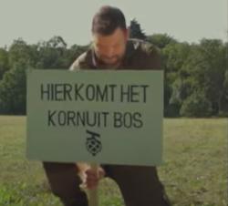 Kornuit bos in Twente