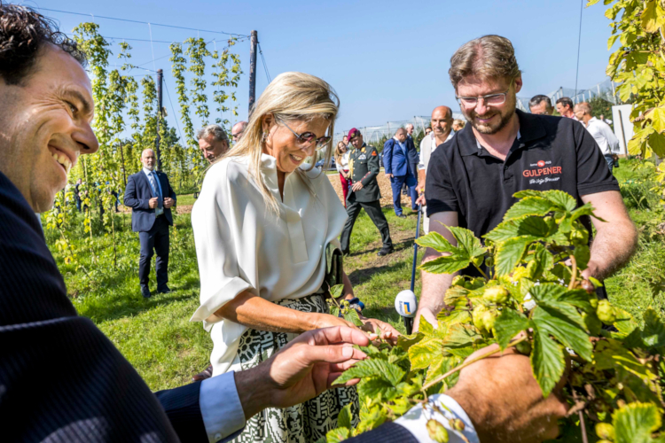 Maxima in de Gulpener Hoptuin