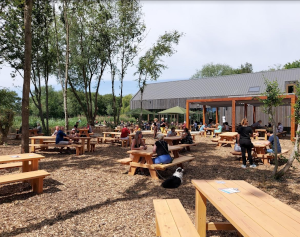 House of Bird terras