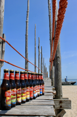 Texelse bieren op een houten pier op het strand in Texel