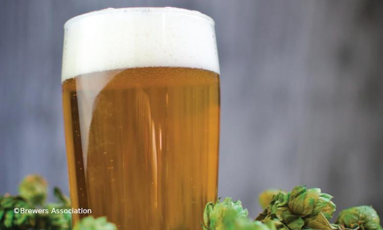 Glas bier met hop Vol glas bier met hopbloemen er omheen