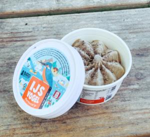 Bakje IJsvogel ijs op een picknick bankje