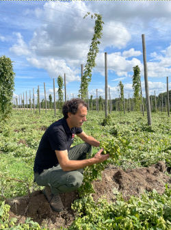 Jan Paul Rutten plukt hop na onweer