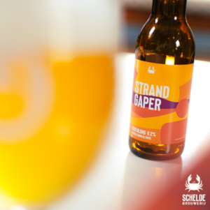 Strandgaper bier van de Scheldebrouwerij